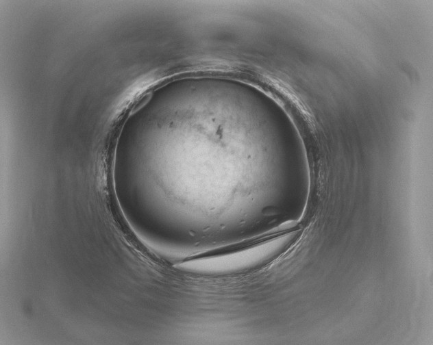 X0000116161455200912071315