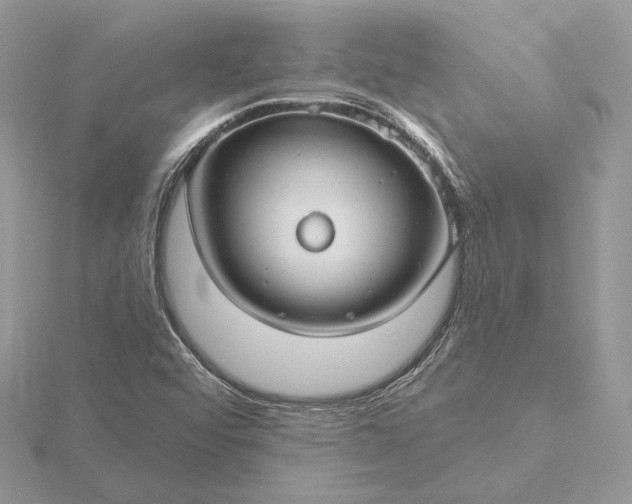 X0000116161456200912071315