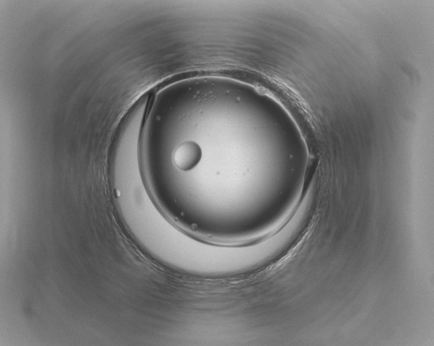 X0000116161457200912071315