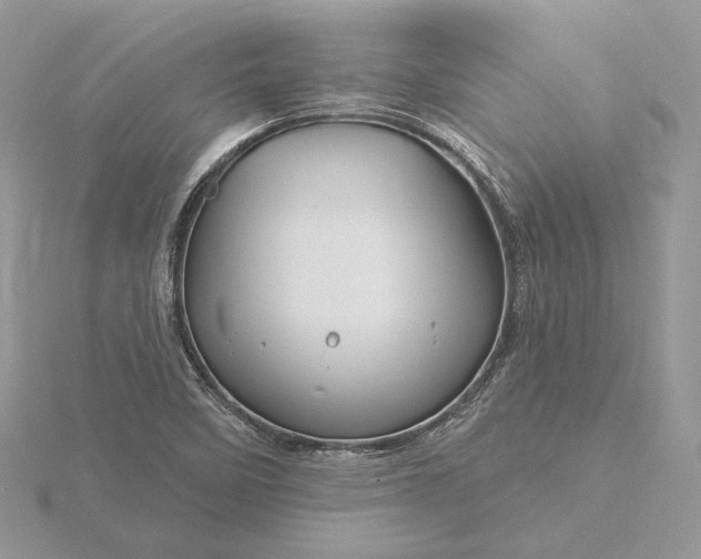 X0000116161458200912071315