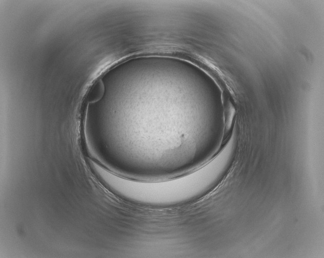 X0000116161459200912071315