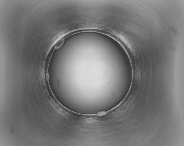 X0000116161460200912071315