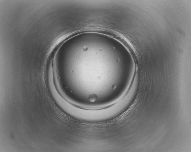 X0000116161461200912071315