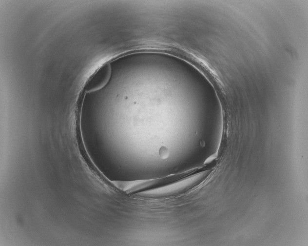 X0000116161463200912071315