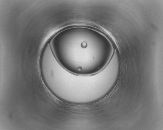 X0000116161464200912071315