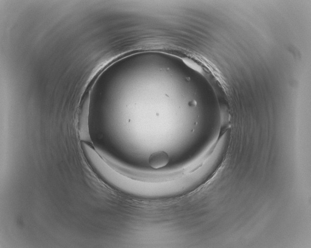 X0000116161465200912071315