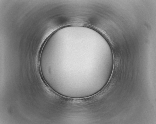 X0000116161466200912071315