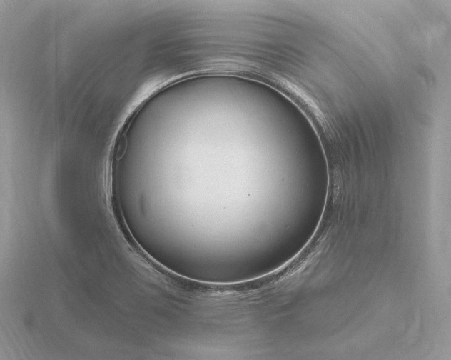 X0000116161467200912071315