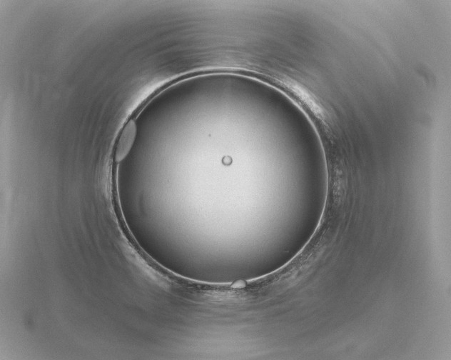 X0000116161468200912071314