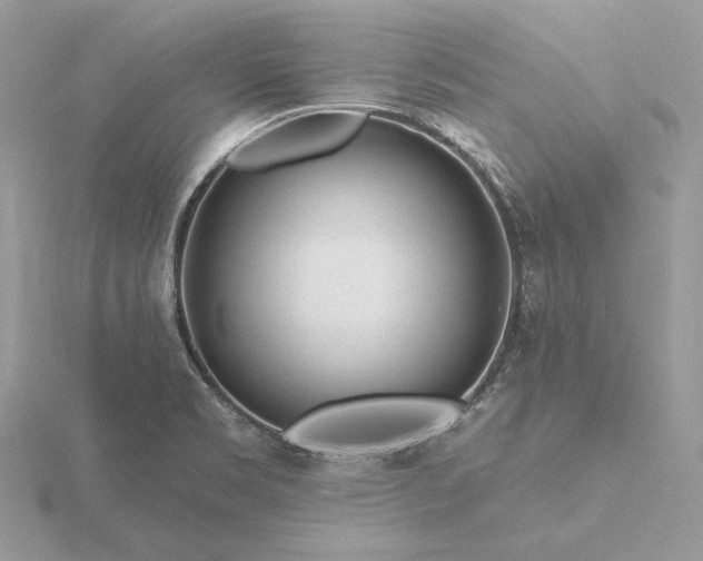 X0000116161469200912071314