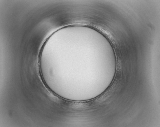 X0000116161470200912071314