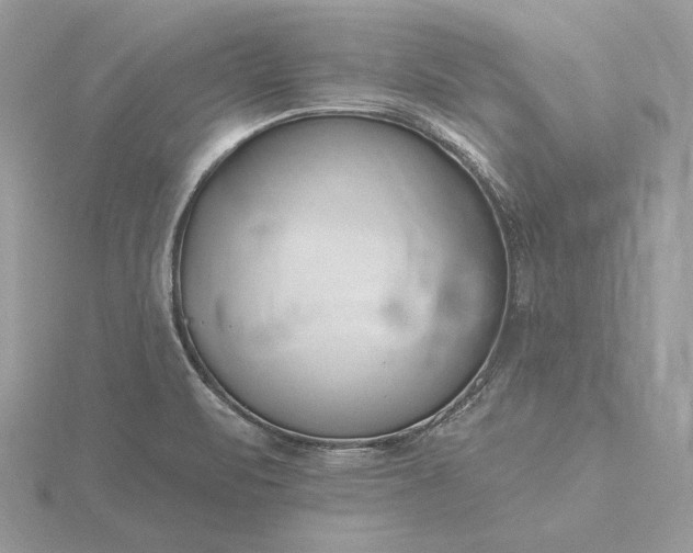 X0000116161471200912071314