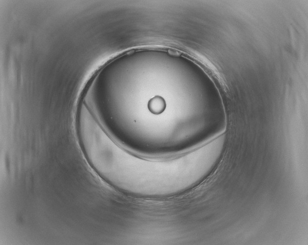 X0000116161472200912071314