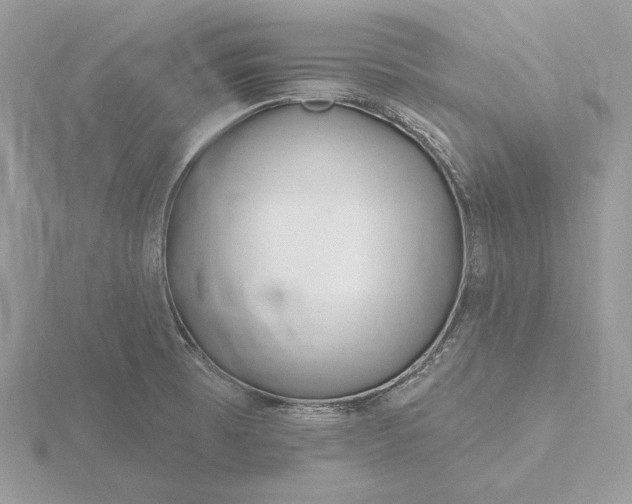 X0000116161473200912071314