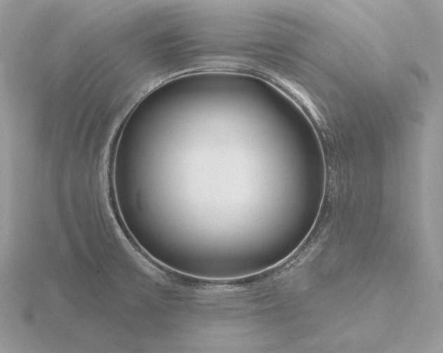 X0000116161475200912071314