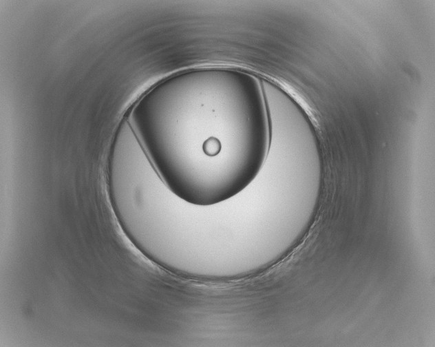 X0000116161476200912071314