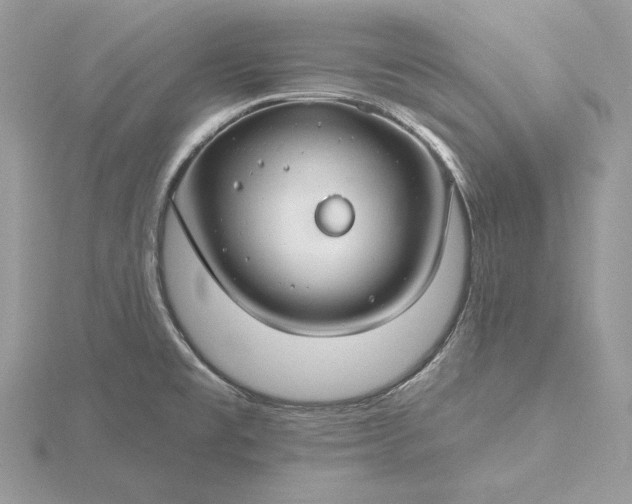 X0000116161477200912071314