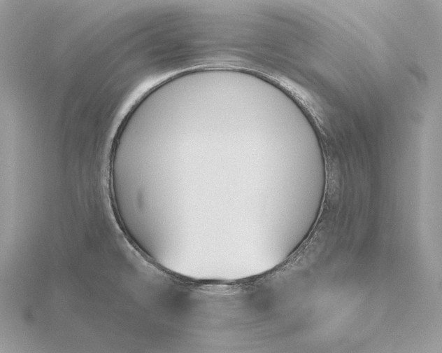 X0000116161478200912071314