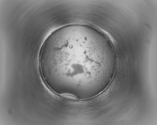 X0000116161479200912071314