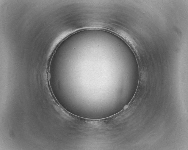 X0000116161480200912071314