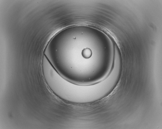 X0000116161481200912071314