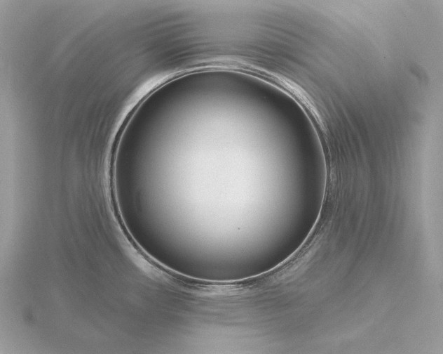 X0000116161482200912071314