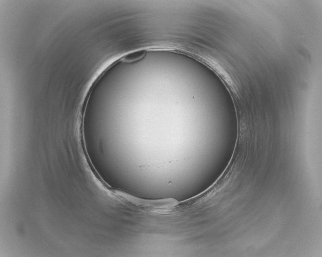 X0000116161484200912071314