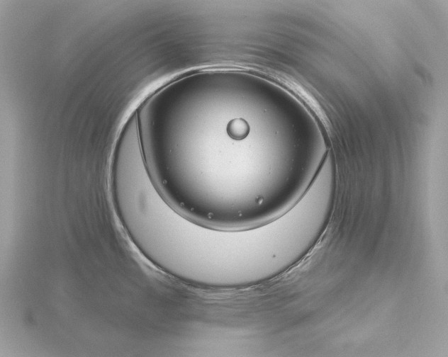 X0000116161485200912071314