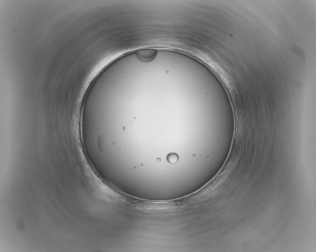 X0000116161486200912071314