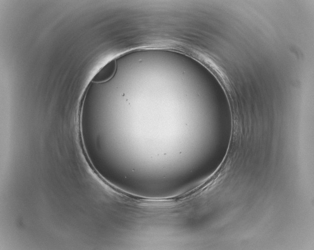 X0000116161487200912071314