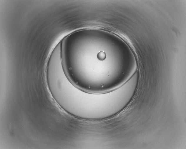 X0000116161488200912071314