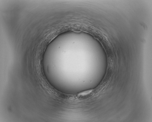 X0000116161489200912071313