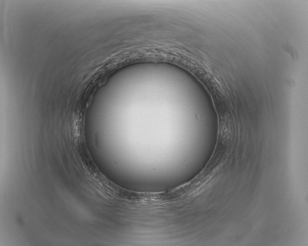 X0000116161490200912071313