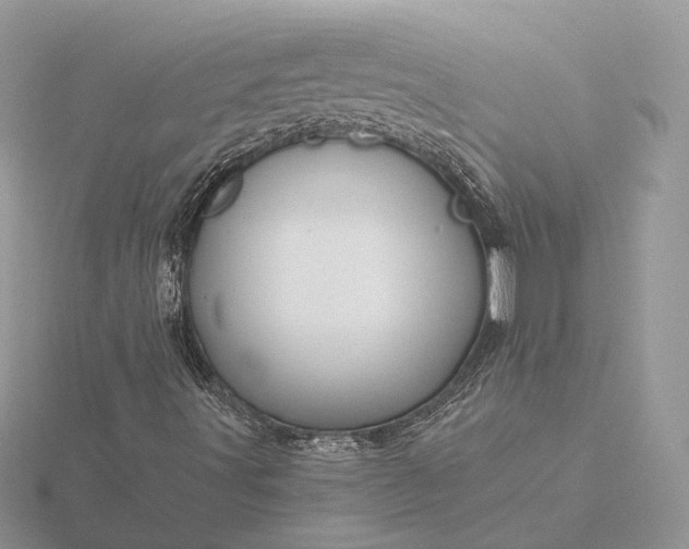 X0000116161491200912071313