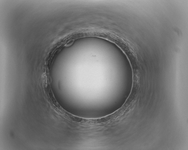 X0000116161493200912071314