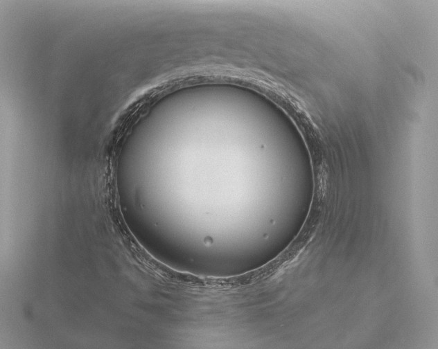 X0000116161494200912071314