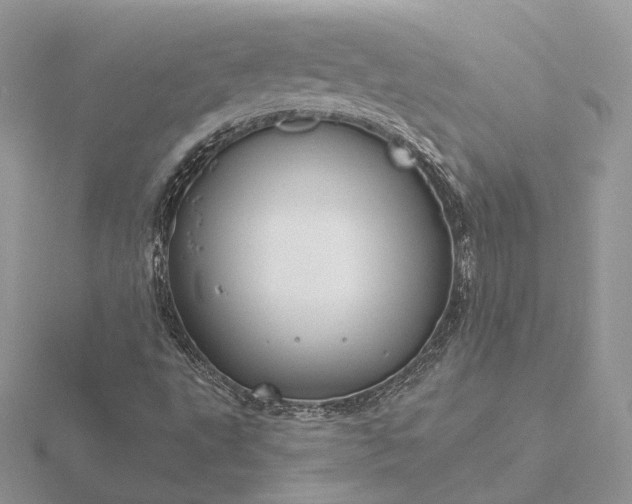 X0000116161495200912071314