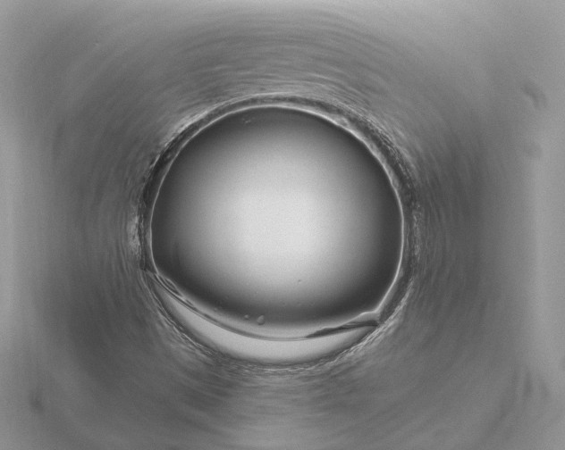 X0000116161497200912071314