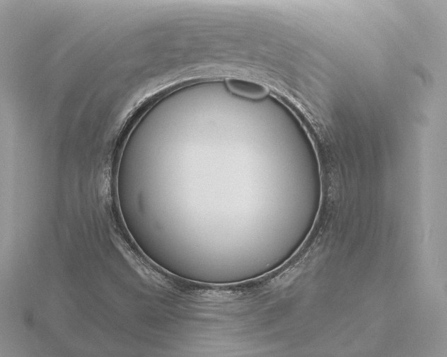 X0000116161499200912071314