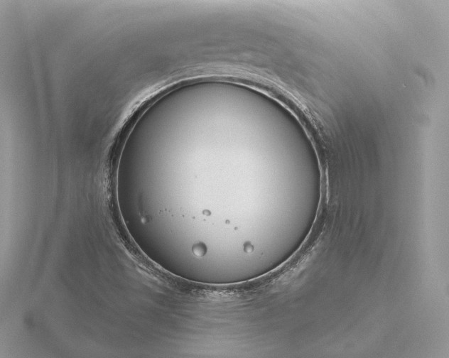 X0000116161501200912071314