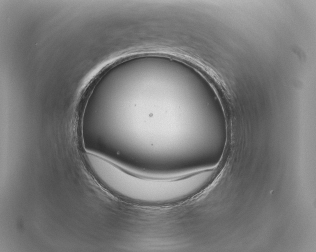 X0000116161502200912071314