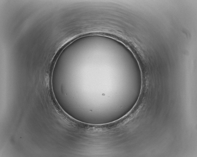 X0000116161505200912071314