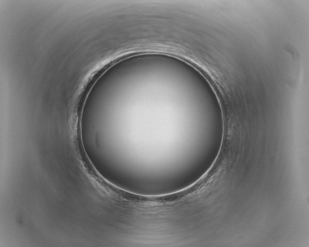 X0000116161507200912071314