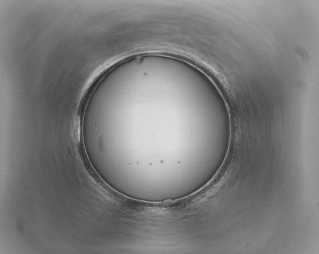 X0000116161509200912071314