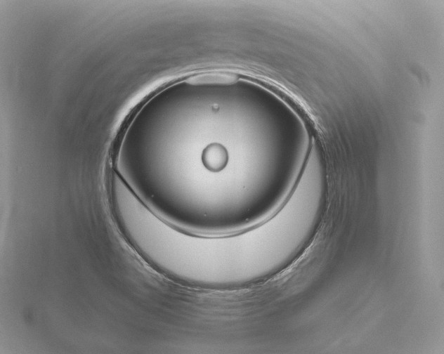 X0000116161510200912071314