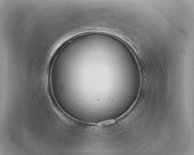 X0000116161511200912071314