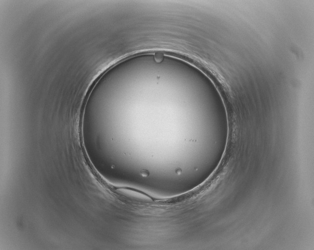 X0000116161513200912071314