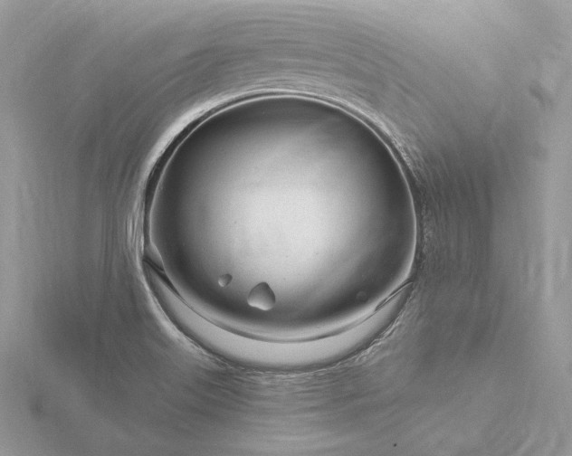 X0000116161515200912071314