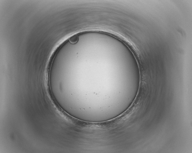 X0000116161517200912071314