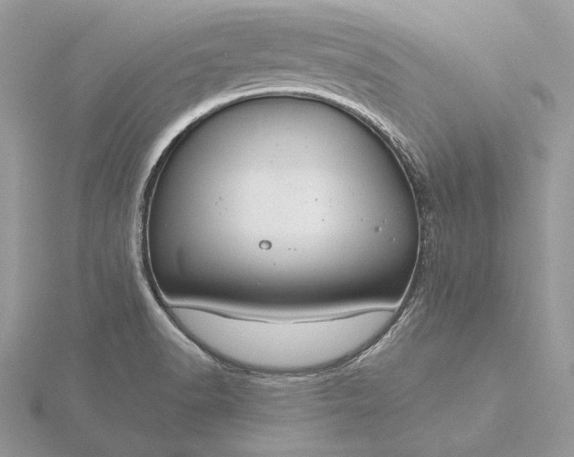 X0000116161518200912071314